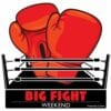 Big Fight Weekend Logo 300x300