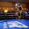 Lomachenko media 8