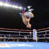 Teofimo Lopez flip