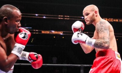 Maciej Sulecki background 0