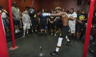 Charlo 6