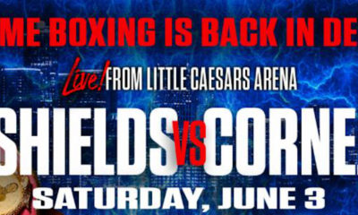 shields cornejo banner web 1