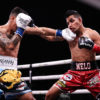Emmanuel Rodriguez Reclaims IBF Bantamweight Title
