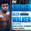 Top Rank Announce Signing of 'Sensational Talent'