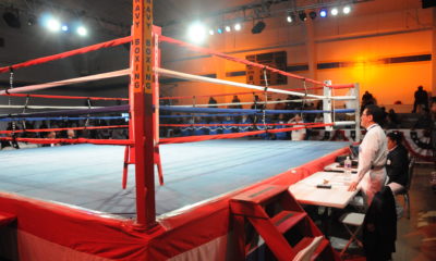 The CSAC formally endorsed the Muhammad Ali American Boxing Revival Act. What's next?