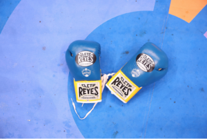 Evolution of Boxing Gloves: From Beginner Gear to Pro Quality