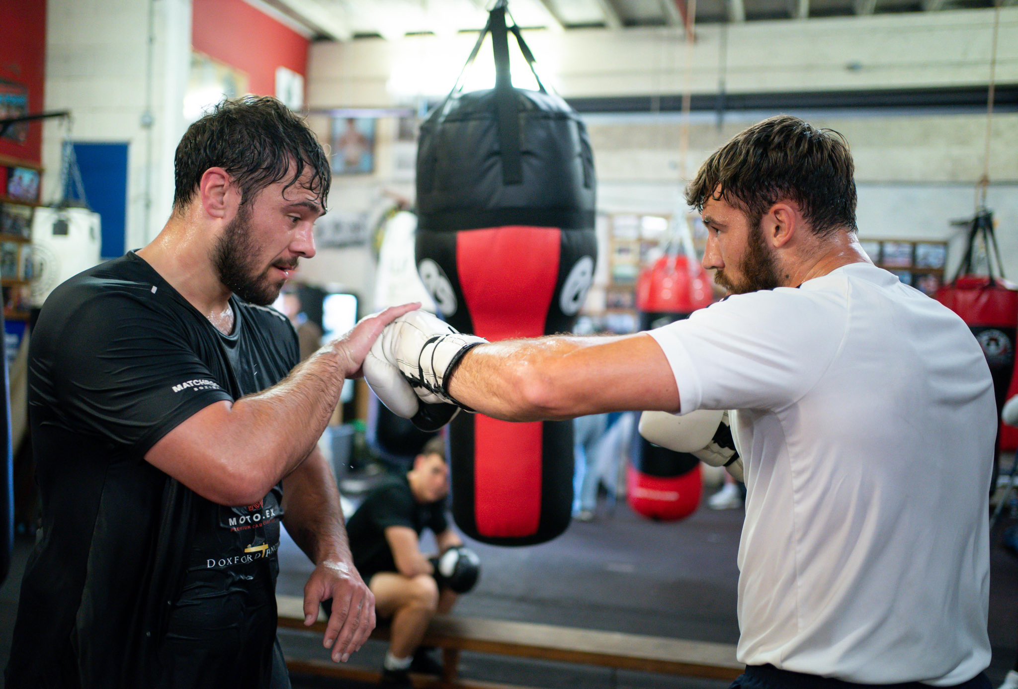 The top boxing prospects heading into 2026