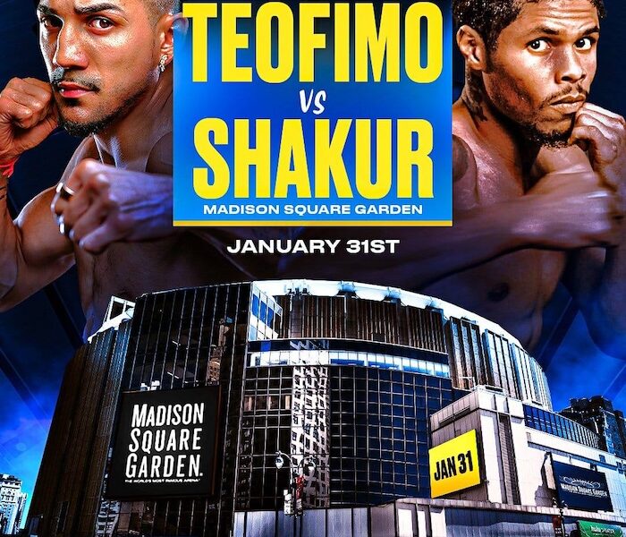 Teofimo Lopez vs Shakur Stevenson